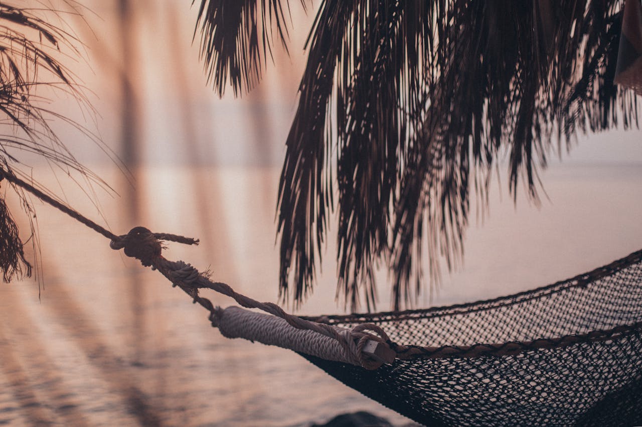 A serene hammock swinging under palm leaves by the seaside during a calm evening sunset.